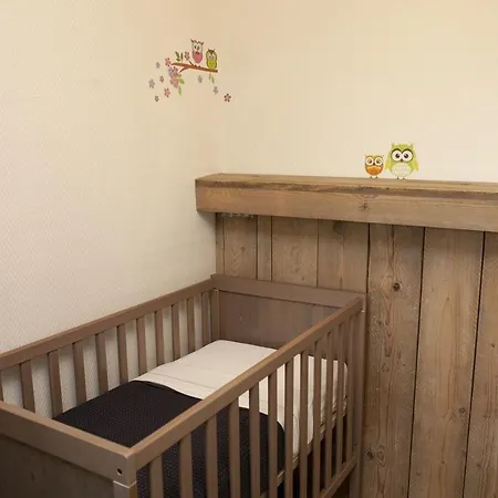 Kidsbungalow 福尔特赫伊曾