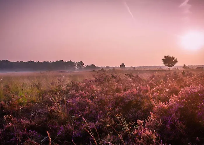 Kidsbungalow Appartement