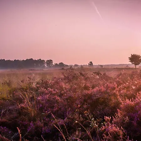 Kidsbungalow Апартаменты